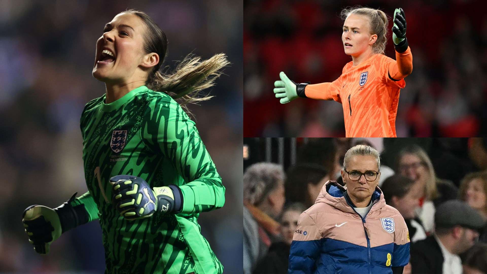 的整体实力 的整体实力